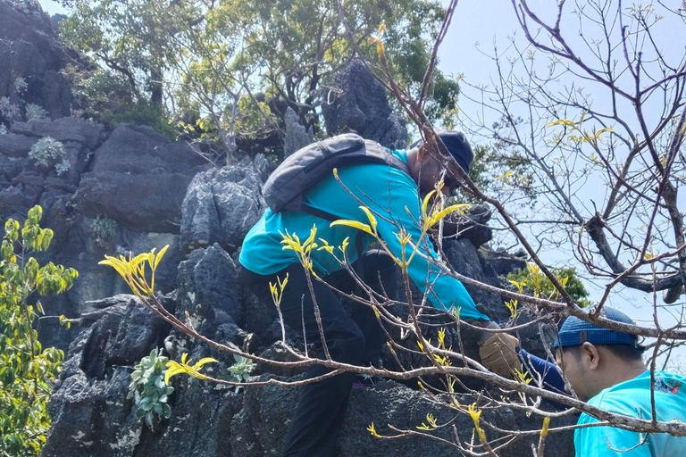 Langkawi: Kilim Geoforest Park Guided Jungle Trek