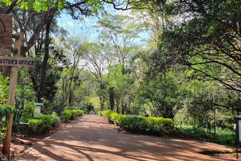 Nairobi: Karura Forest Storytelling & Mau Mau Heritage Walk
