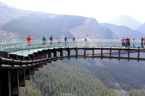 Icefield Glacier & Skywalk Full-Day Tour