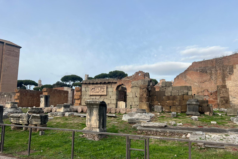 Small Group Guided Tour Colosseum Roman Forum, Palatine Hill Standard Tickets