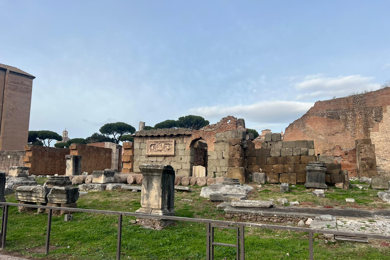 Small Group Guided Tour Colosseum Roman Forum, Palatine Hill Standard Tickets