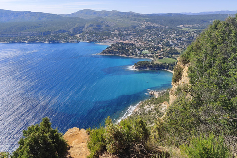 Bandol und Cassis: Ganztägige Weintour ab MarseilleBandol und Cassis: Ganztagestour von Marseille zum Wein