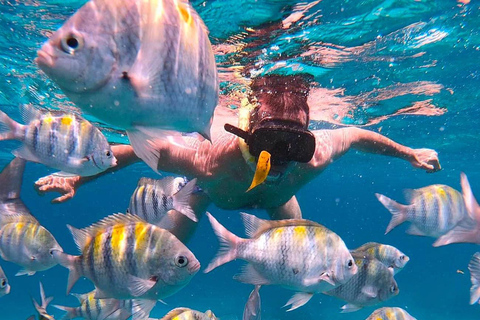 Barbados: Snorkelen, scheepswrak avontuur en stranddag