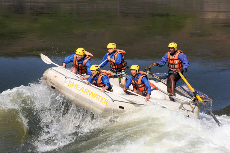 Victoria Falls: Whitewater Rafting Experience