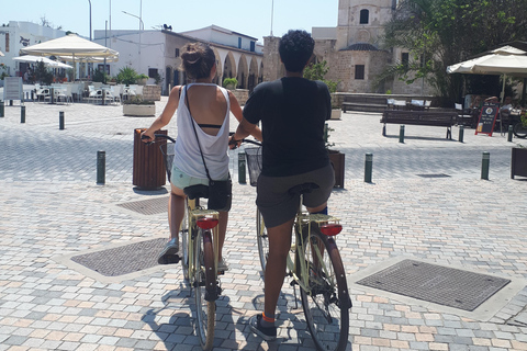Larnaca: Salt Lake & Cultural Highlights Guided Bike Tour