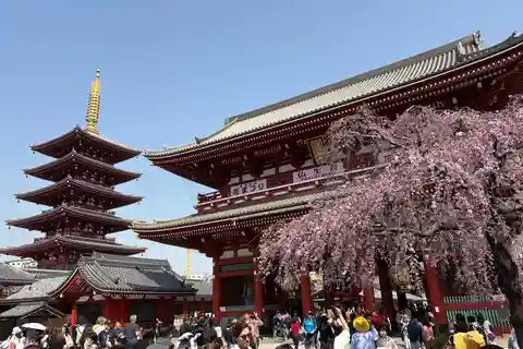 東京車と専門ガイドによるプライベート1日ツアー
