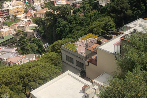 Nápoles: Excursión Privada a Positano y la Costa AmalfitanaVisita privada a Positano