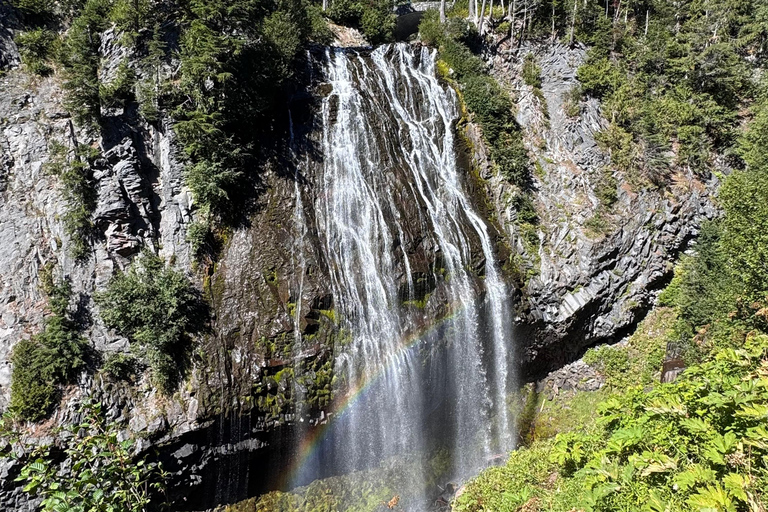 Mount Rainier National Park Small-Group DayTour from Seattle