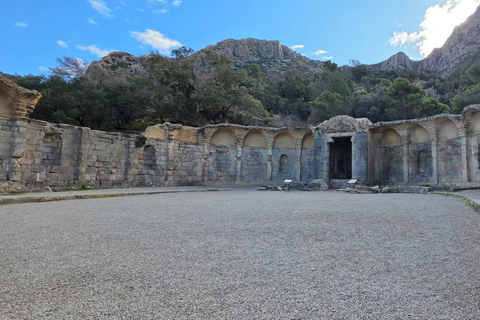 Cultural and culinary tour from Tunis