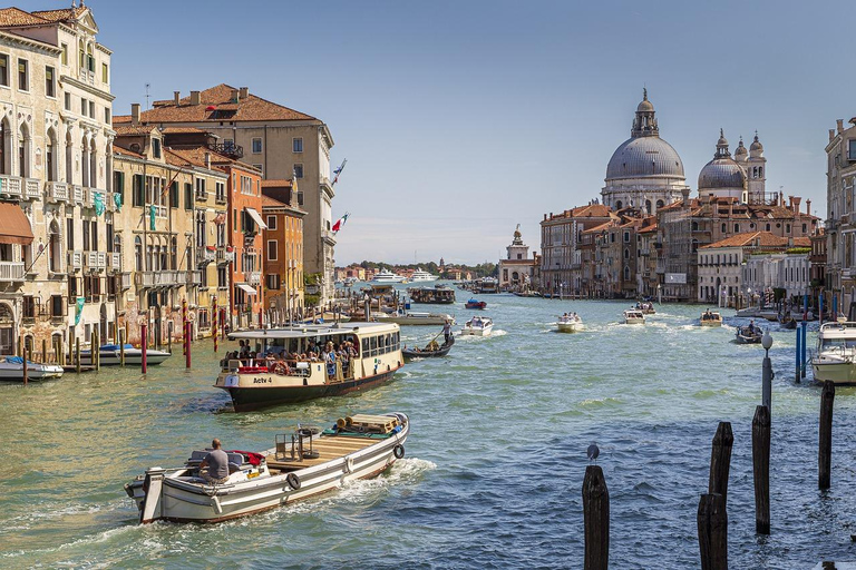 Venice: 1700 Grand Canal Palace Insight & Casanova's Allure™ Ca' Rezzonico Ticket & City Audioguide