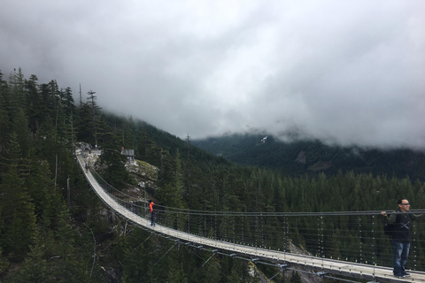 Whistler Village, Sea to Sky Gondola Day Trip Express Whistler Private Group