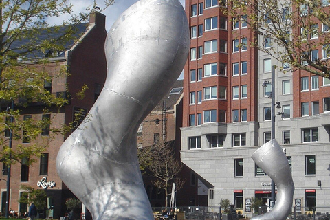 Rotterdam: Bizzare Architecture and Art Walking Tour