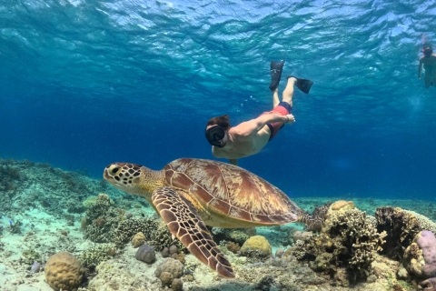 Wyspy Gili: wspólna wycieczka na nurkowanie z rurką