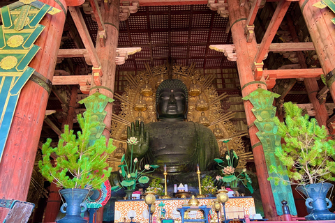 Visite privée de Nara. Le cœur ancien du Japon