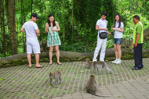 Ubud Tour: Explore os melhores lugares da área de Ubud.