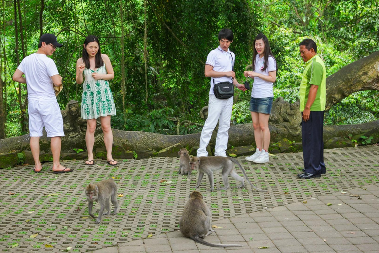 Ubud Tour: Explore os melhores lugares da área de Ubud.