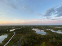 From Riga, Trip to Kemeri National Park & Jurmala - Housity