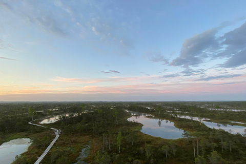 Desde Riga: Viaje al Parque Nacional de Kemeri y Jurmala