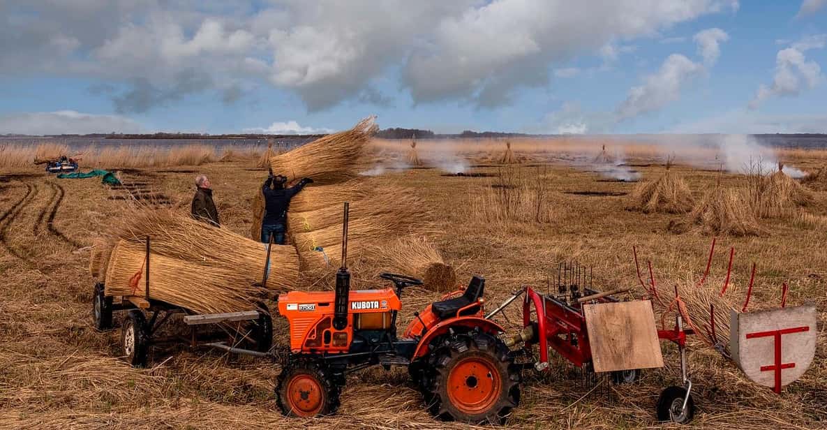 Afbeelding 3 van Vanuit Amsterdam: Zaanse Schans en Giethoorn Plattelandstocht