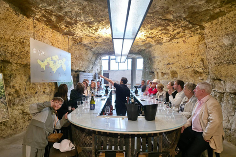 Loire Valley Wine Tour from Paris: 2 Wineries & 10 Tastings Premium Option