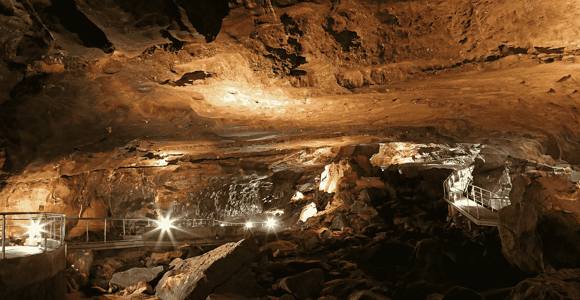 From Al Hamra: Al Hoota Cave Entry Ticket