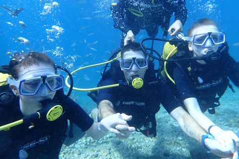 Alanya: PADI Discover Dive & Certified Training Options First Time Diving Option