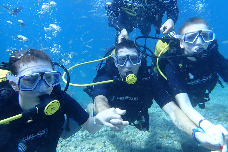 Alanya: PADI Discover Dive & Certified Training Options First Time Diving Option