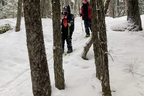 Guided Snowshoeing Adventure from Seward, Alaska 6-Hour Tour