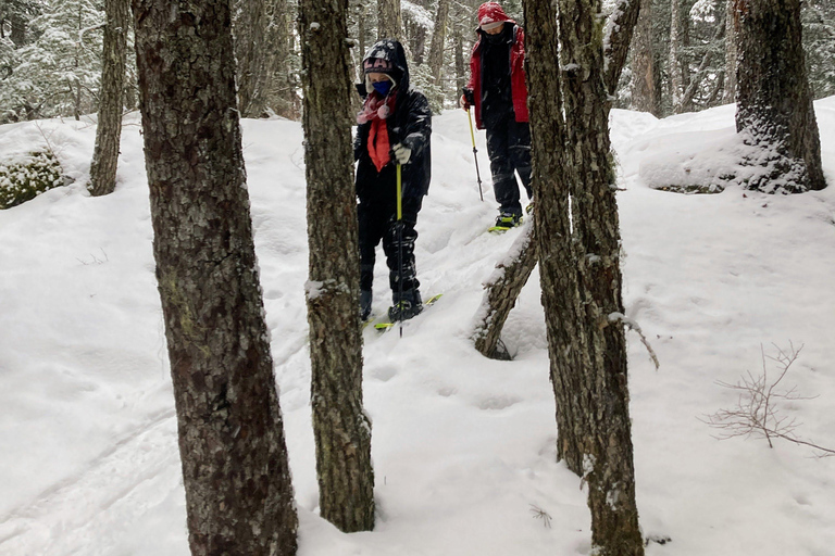 Guided Snowshoeing Adventure from Seward, Alaska 6-Hour Tour