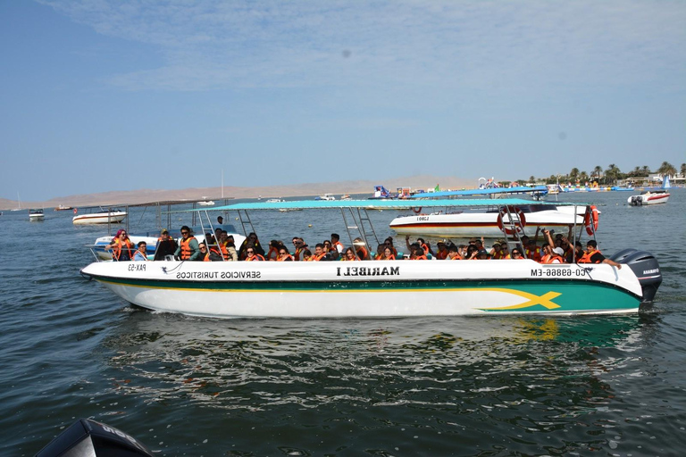 巴列斯塔斯群岛和帕拉卡斯保护区迷你越野车探险之旅巴列斯塔斯群岛与帕拉卡斯自然保护区迷你越野车探险之旅