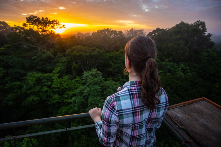 In-Depth Amazon Experience - 4 Days inside Rainforest