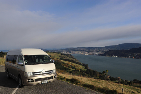 From Port Chalmers: Castle, Coast & City Tour From Port Chalmers: Dunedin City Tour with Larnach Castle