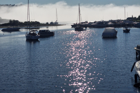 Oslo: Malmøya Island Guided Hike with Waffle and Drink