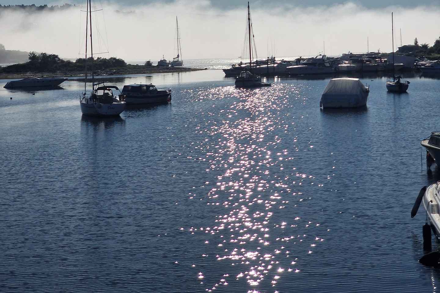 Oslo: Malmøya Island Guided Hike with Waffle and Drink