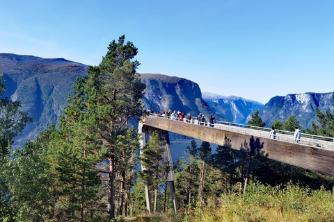 Flåm Flexible Tour with Stegastein, cruise and train include