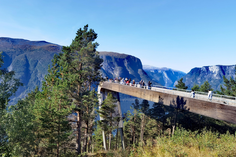 Flåm Flexible Tour with Stegastein, cruise and train include