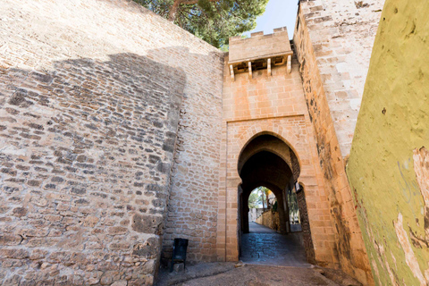From Valencia: Dénia Castle, Beach & Skulls Cave Day Trip Day trip with Pickup at Torres de Serranos