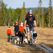 Bakvattnet: Huskytrekking am Ansättenfjäll