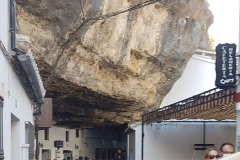 Ronda e Setenil da Costa do SolTour guiado a partir de Málaga