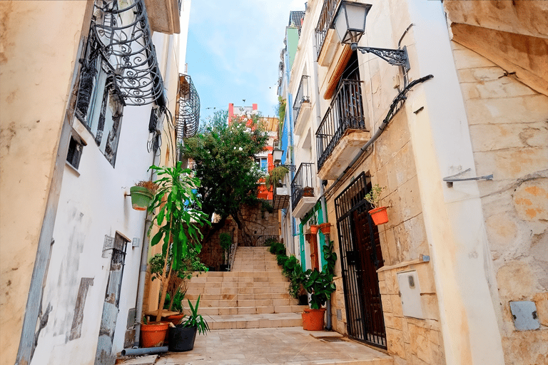 Alicante : Ville. Découvrez Alicante en E-Bike et à piedAlicante : Visite de la ville, découverte avec E-bike et visite à pied