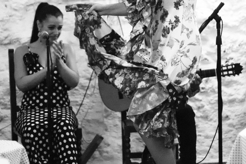 Granada: spettacolo di flamenco nella Grotta LA FARAONA