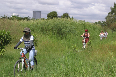 Kleuren van Bangkok: fietstocht van 4 uur met kleine groep