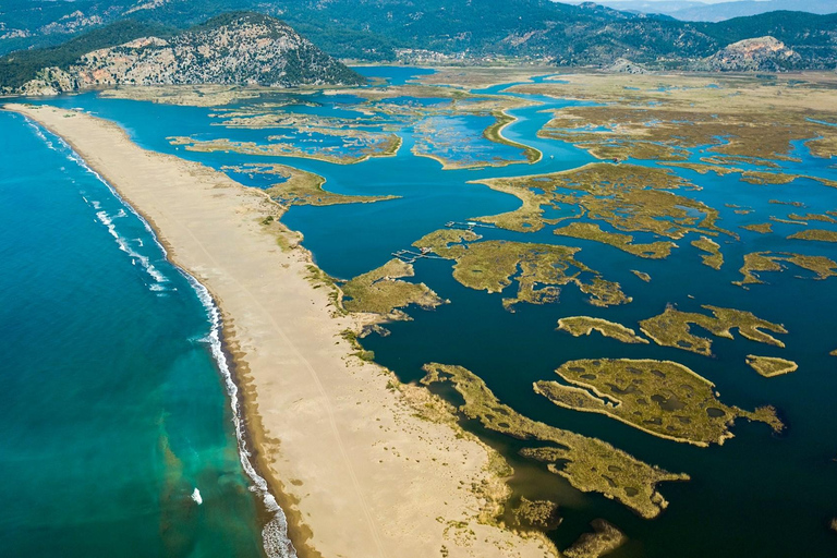 Turunc: Dalyan Turtle Beach Tour with Mud Bath & Lunch
