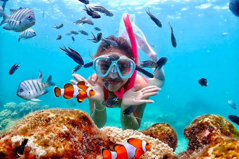 From Pattaya: Private Speedboat to Nemo Island with Snorkel From Pattaya: Private Speedboat Tour Samaesan with Snorkel