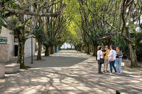 Medellín Through Time – City Sightseeing Tour | Subway, Metrocable, and Historic Center