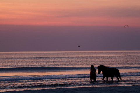 Menorca: Horseback Ride to Cala Fustam Beach and Swim