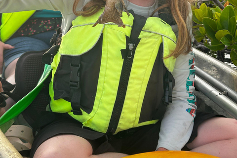 Providenciales Mangrove Kayak Tour With Turtle Sightings