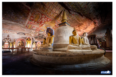 Negombo: To Sigiriya & Dambulla Private Tour with Lunch Sigiriya & Dambulla: Private Tour with Lunch from Colombo