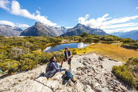 From Te Anau: Milford Sound Cruise & Key Summit Hike