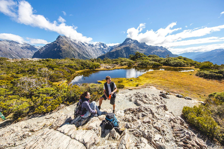 From Te Anau: Milford Sound Cruise & Key Summit Hike